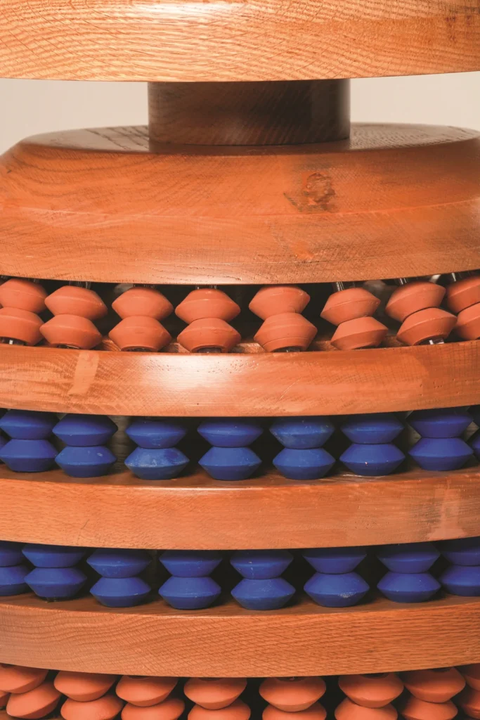 Rimsha Kidawi